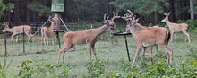 Load image into Gallery viewer, Twitchy Tail Deer Decoy