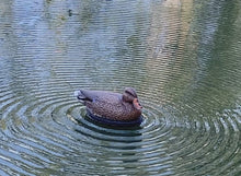 Load and play video in Gallery viewer, The Triple Threat - 3 Motion Duck Decoys