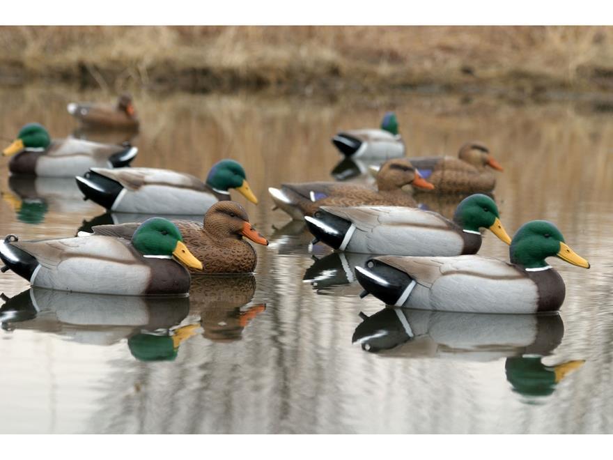 Decoys Classic 2024 Mallard 12 pack