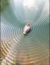 Load image into Gallery viewer, The Wobbler Motion Duck Decoy