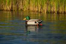 Load image into Gallery viewer, The Wadder