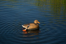 Load image into Gallery viewer, The Wadder motion decoy
