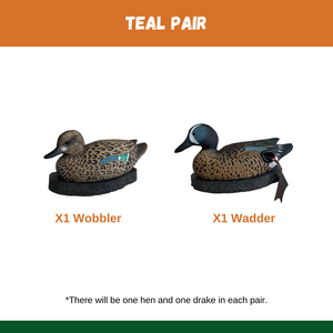 Teal Pair